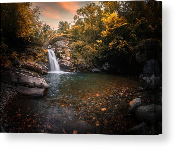 Trees Canvas Print featuring the photograph Finding Yourself by Cristiano Giani