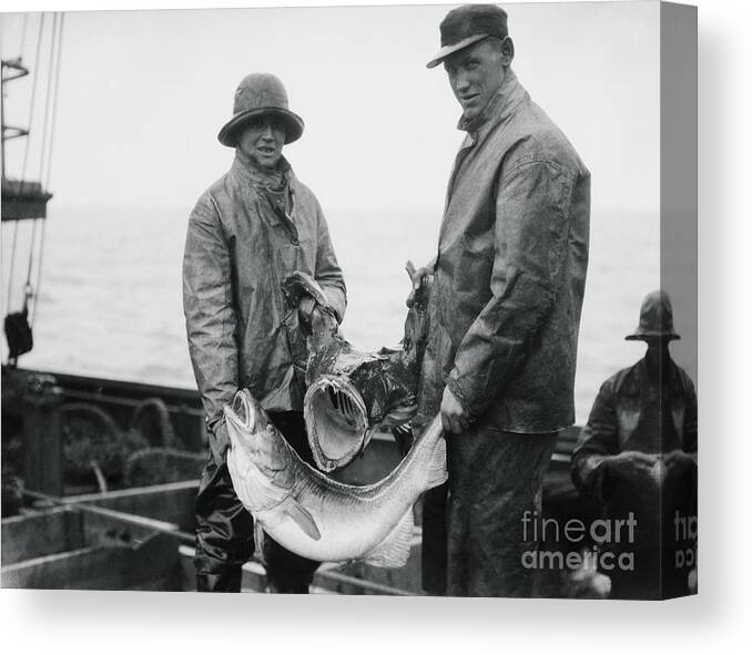 People Canvas Print featuring the photograph Fishermen Holding Fish by Bettmann