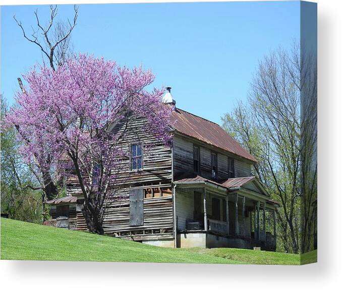 Spring Canvas Print featuring the photograph Fixer Upper by Kathy Chism