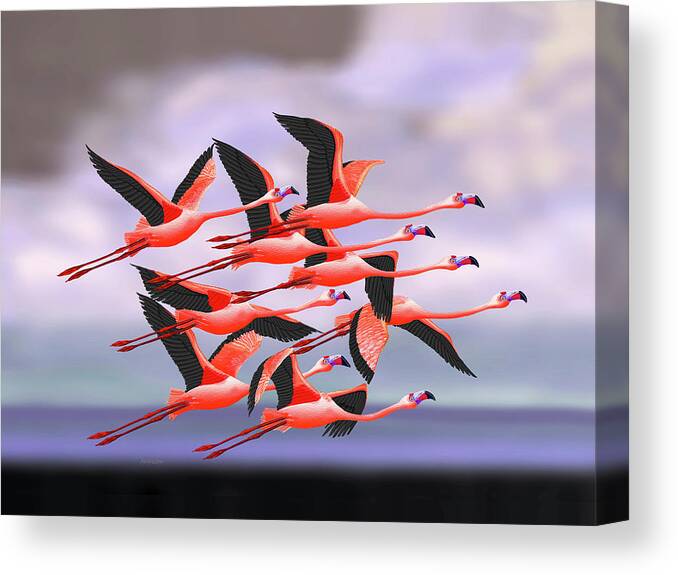 Flamingos Canvas Print featuring the painting Flamingos in Flight by David Arrigoni