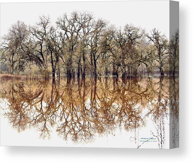 Landscape Canvas Print featuring the photograph Flooded Laguna de Santa Rosa by Richard Thomas