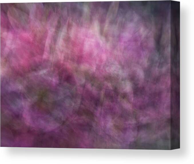 Abstract Canvas Print featuring the photograph Floral like abstract background of pinks, purples and green patterned artwork by Teri Virbickis