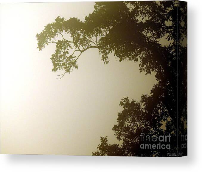 Foggy Fog Morn Morning Mornings Fogs Fogged In Fogged-in Craig Walters Picture Photograph Art Artist Arts Artists Gradient Branch Branches Light Dark Day Daylight Light Canvas Print featuring the digital art Foggy Morning Trees by Craig Walters