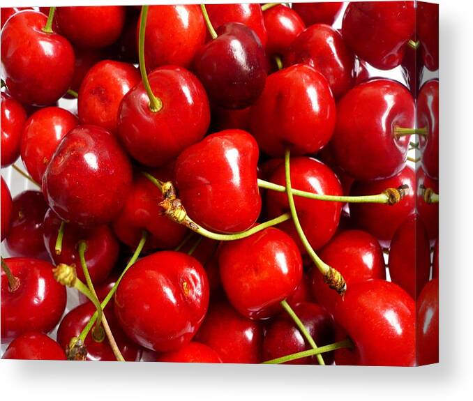 Cherry Canvas Print featuring the photograph Fresh Red Cherries by Vienna Mornings