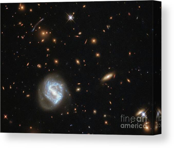 Sdss J0333+0651 Canvas Print featuring the photograph Galaxy Cluster Sdss J0333+0651 by Nasa/esa/hubble/stsci/science Photo Library