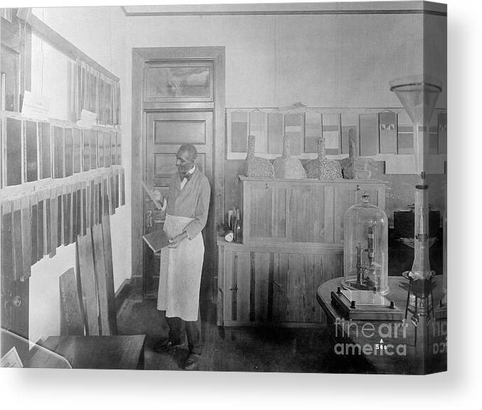 Milk Canvas Print featuring the photograph George Washington Carver Conducts by Bettmann