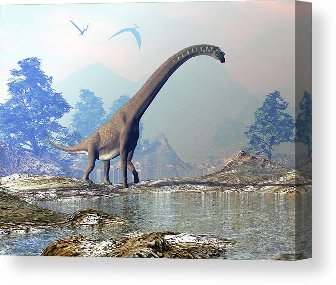 Collection Of Sauropod Dinosaurs Poster by Elena Duvernay - Pixels