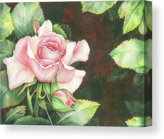 Rose Canvas Print featuring the painting Grace by Lori Taylor