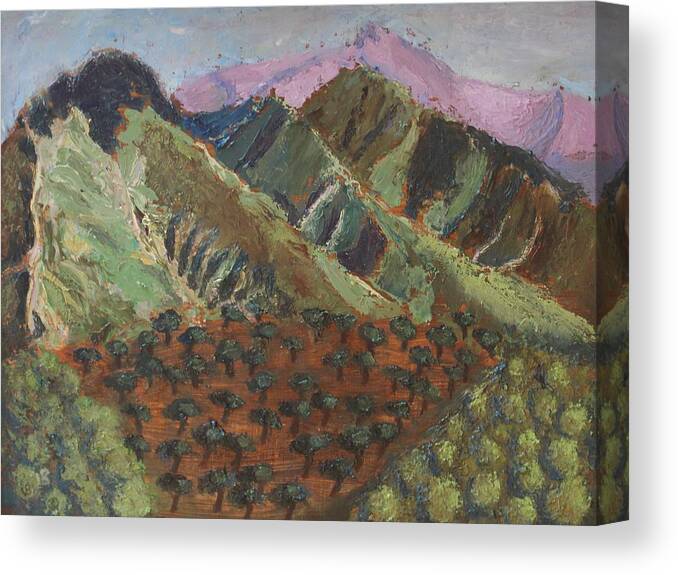 Mountain Canvas Print featuring the painting Green Canigou by Vera Smith