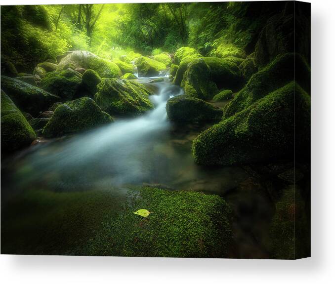 Green Canvas Print featuring the photograph Green Stone by Bingo Z