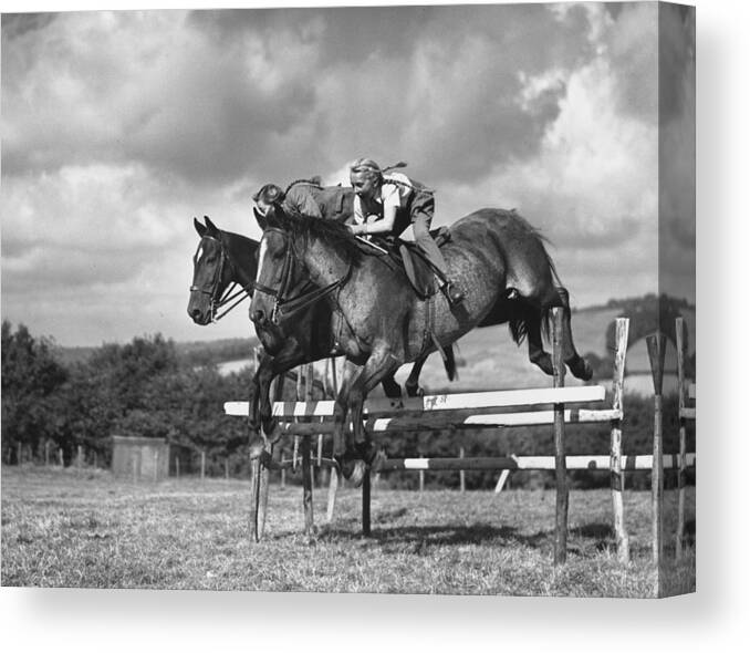 Horse Canvas Print featuring the photograph Horses In Harmony by Reg Speller