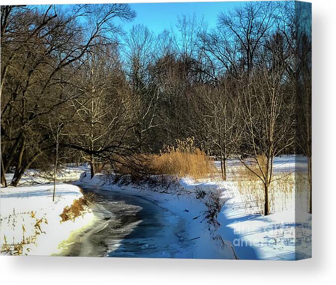 Ice Canvas Print featuring the photograph Ice Stream by William Norton