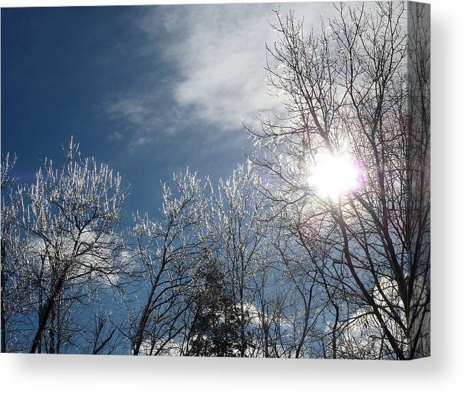Ice Canvas Print featuring the photograph Sun Peeking Through an Icy Blue Sky by Patricia Caron