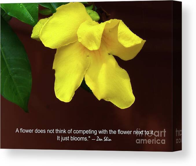 Yellow Canvas Print featuring the photograph It Just Blooms by Amy Dundon
