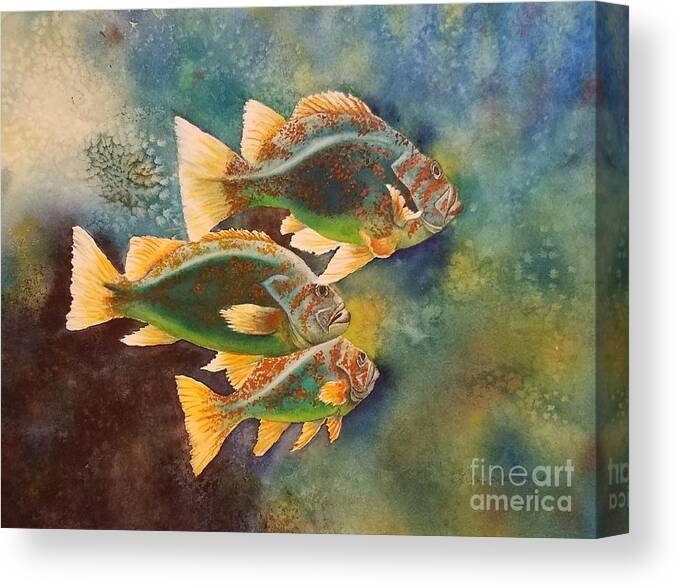 Rock Fish Canvas Print featuring the painting Just keep swimming by Lisa Debaets