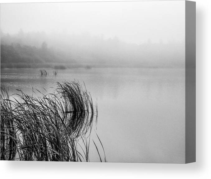 Bw Canvas Print featuring the photograph Lake Mood On A Foggy Day by Leif Lndal