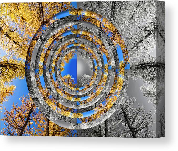Evergreen Canvas Print featuring the digital art Larches Color to Black and White Reflection Circles by Pelo Blanco Photo