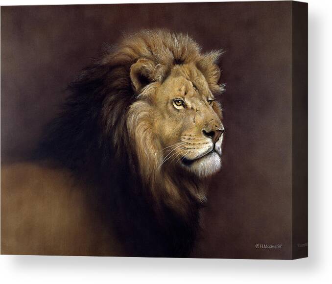 Lion Male Canvas Print featuring the painting Lion Male by Harro Maass