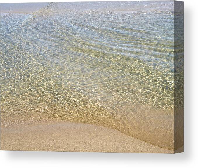 March Canvas Print featuring the photograph March Sun by Ellen Paull