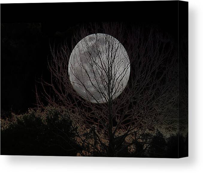 Full Moon Canvas Print featuring the digital art Full Moon behind Trees by Chauncy Holmes