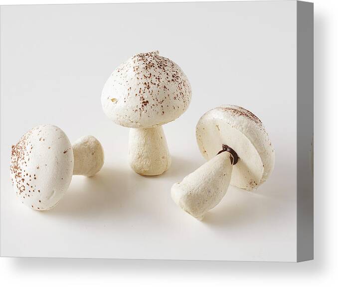 White Background Canvas Print featuring the photograph Mushrooms by Carin Krasner
