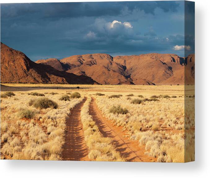 Namibia Canvas Print featuring the photograph Namibian Landscape And Mountains by Holgs