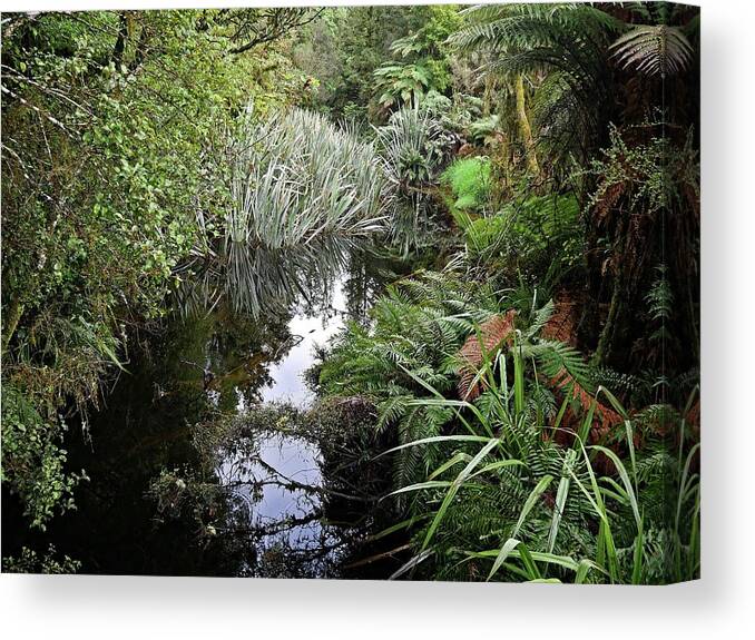 Plant Canvas Print featuring the photograph Nature reflections by Martin Smith