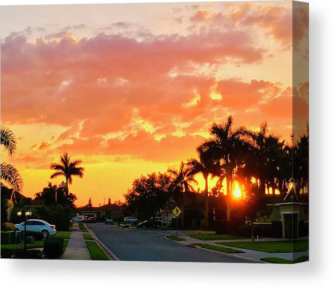 Sunset Canvas Print featuring the photograph Neighborhood Watch #2 by Gary F Richards