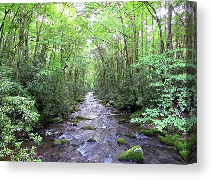 Oconaluftee River Canvas Print featuring the photograph Oconaluftee River by Connor Beekman