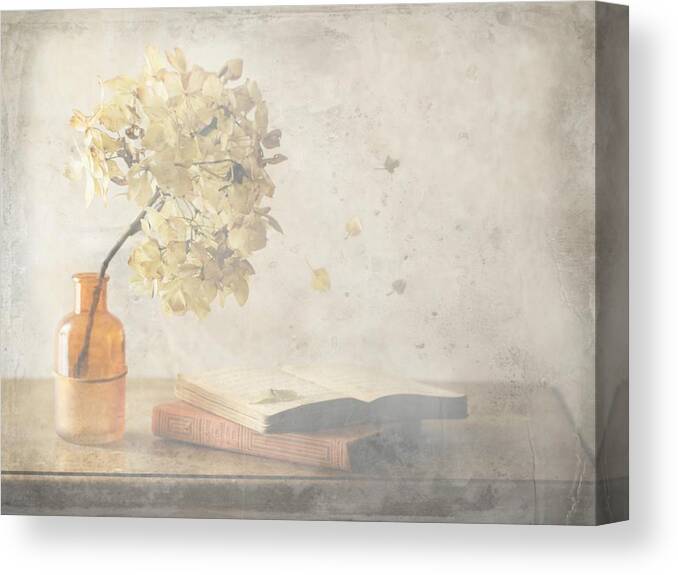 Books Canvas Print featuring the photograph October Bliss by Delphine Devos