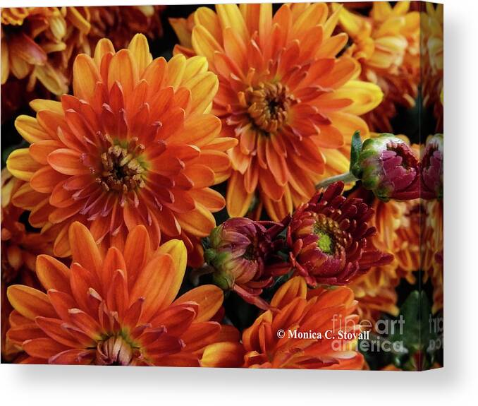 Orange Canvas Print featuring the photograph Orange Flowers No. 14 by Monica C Stovall