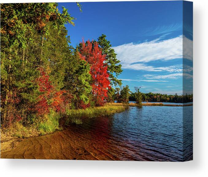 Fall Canvas Print featuring the photograph Oswego Lake Pinelands by Louis Dallara