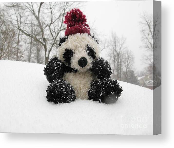 Black And White Panda Canvas Print featuring the photograph Panda On The Snowy Day by Ausra Huntington nee Paulauskaite