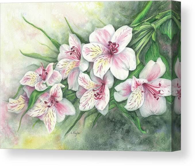Floral Canvas Print featuring the painting Peruvian Lilies by Lori Taylor