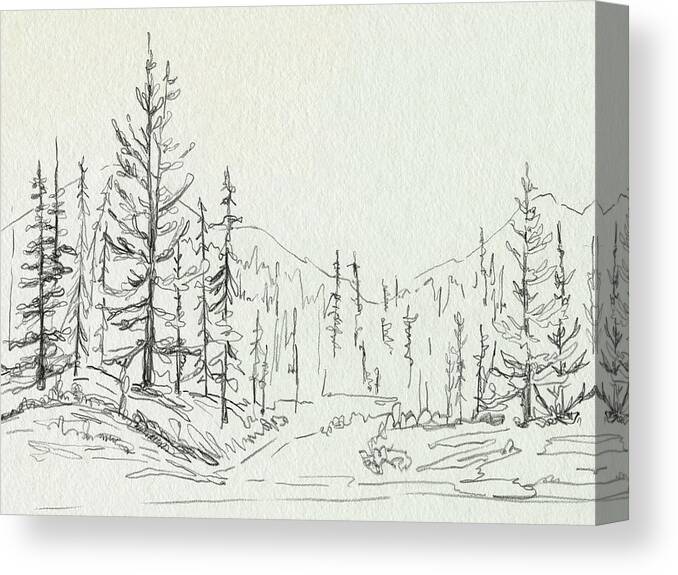 Landscapes Seascapes Canvas Print featuring the painting Piney Forest II by Emma Caroline