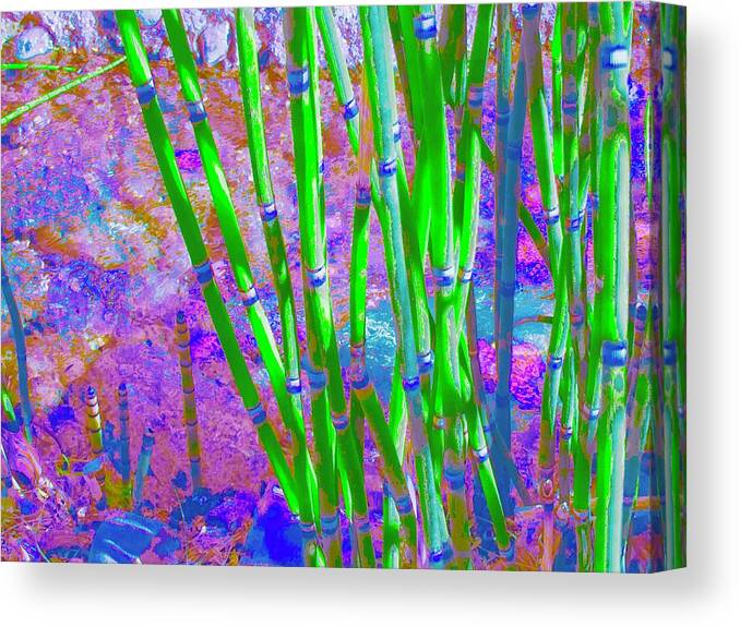 Reeds Canvas Print featuring the photograph Pixel Reeds Too by Debra Grace Addison