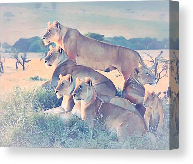 Lion Canvas Print featuring the photograph Pride by Gini Moore