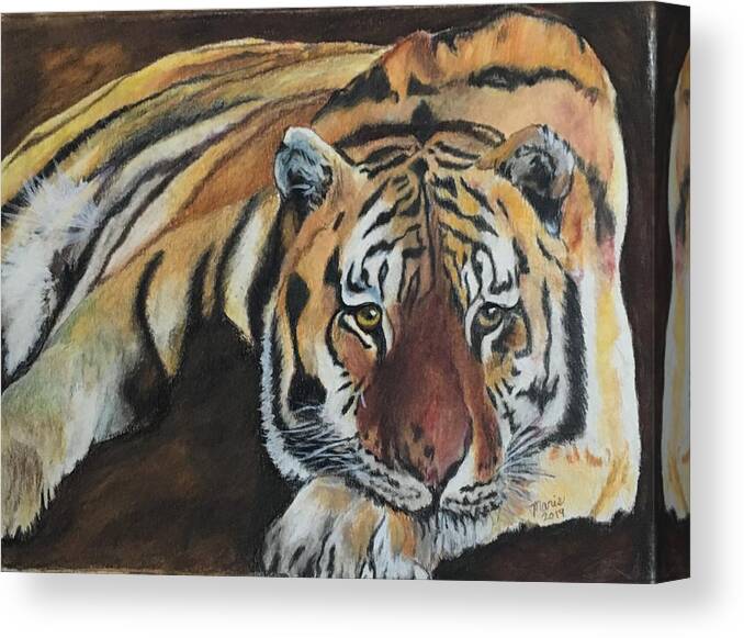 Animal Canvas Print featuring the painting Resting Tiger by Maris Sherwood