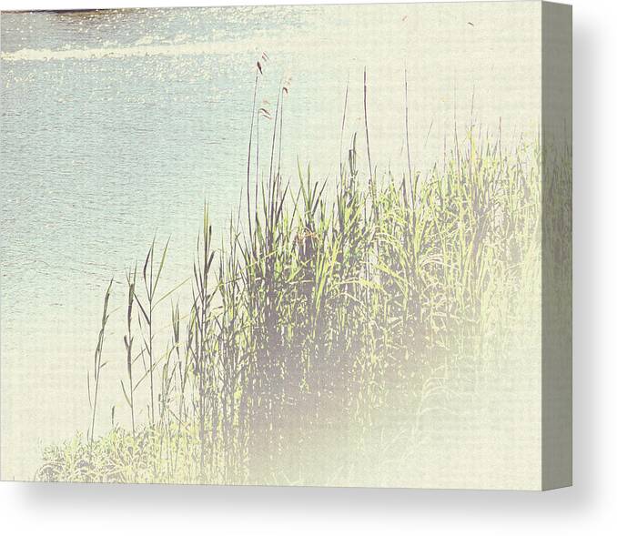 River Canvas Print featuring the photograph River Walk by Berlynn