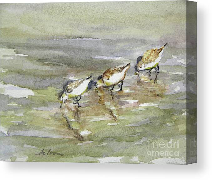 Original Watercolors Canvas Print featuring the painting Sandpiper Trio by Julianne Felton