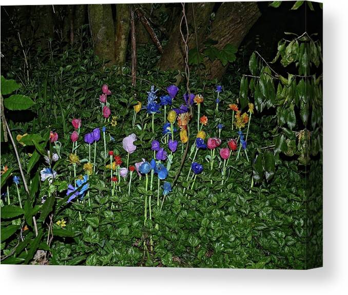 Darkness Canvas Print featuring the photograph Secret garden by Martin Smith