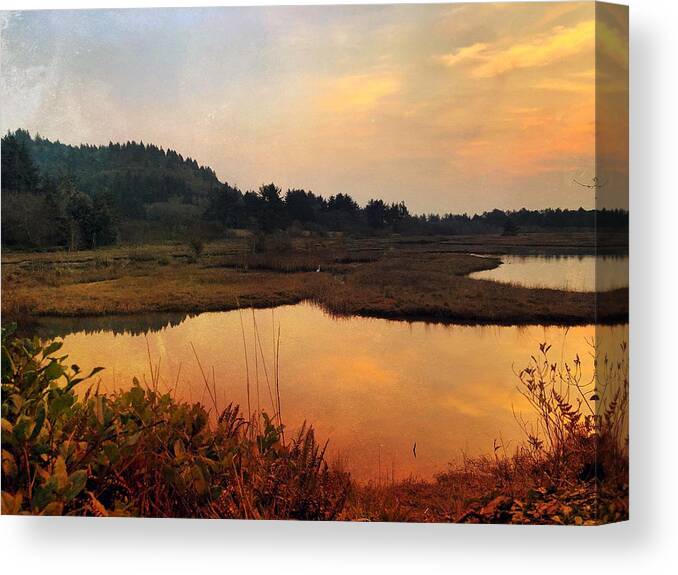Sunset Canvas Print featuring the digital art Sitka Sedge Sand Lake Eve by Chriss Pagani