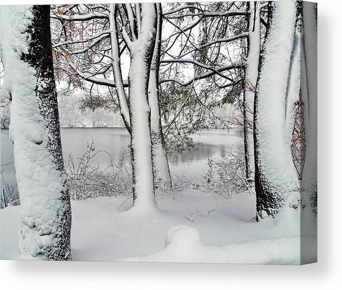 Winter Canvas Print featuring the photograph Snowfall in March by Lyuba Filatova