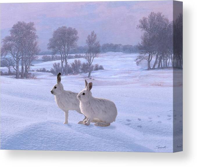 Hare Canvas Print featuring the digital art Snowshoe Hares by M Spadecaller