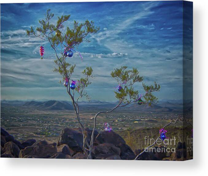 Arizona Canvas Print featuring the photograph Sonoran Christmas by Eye Olating Images