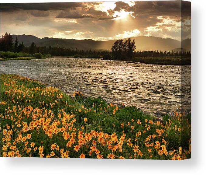Idaho Scenics Canvas Print featuring the photograph Spring in Harriman State Park by Leland D Howard