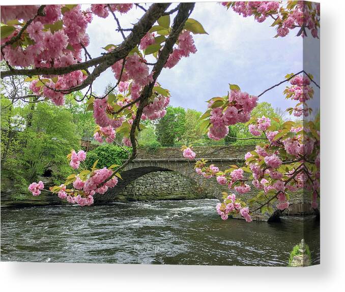 Windham Canvas Print featuring the photograph Spring Time in Windham by Veterans Aerial Media LLC