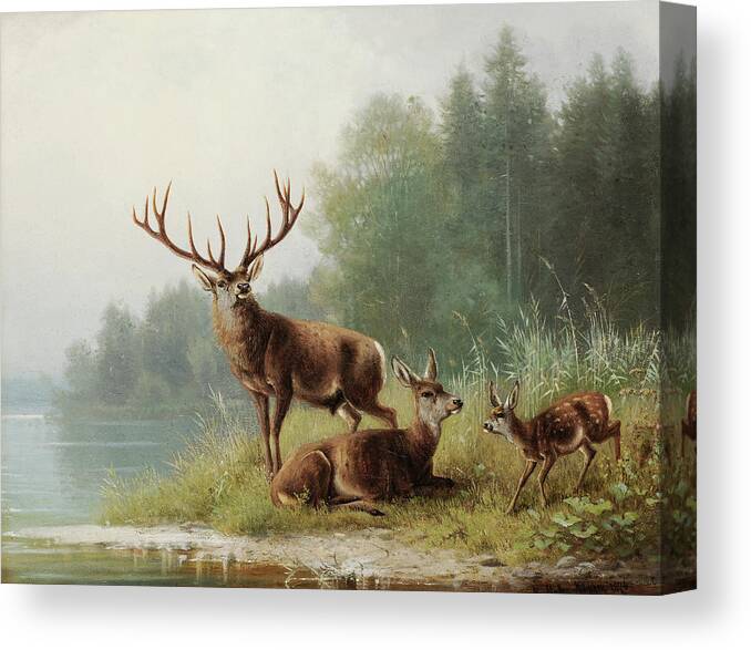 Moritz Muller Canvas Print featuring the painting Stag at a Lake by Moritz Muller