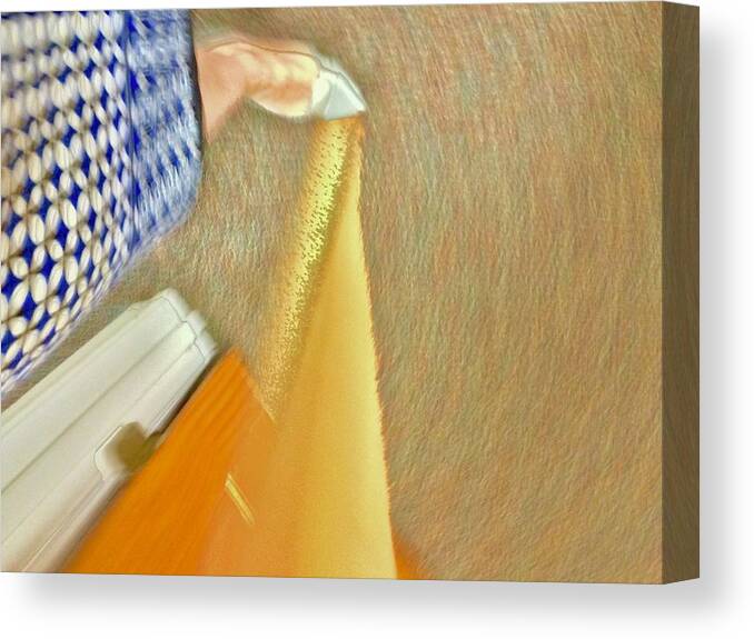 Rug Canvas Print featuring the photograph Stepping Through by Debra Grace Addison