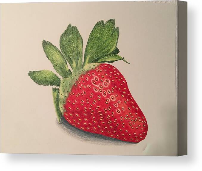 Fruit Canvas Print featuring the drawing Strawberry by Colette Lee
